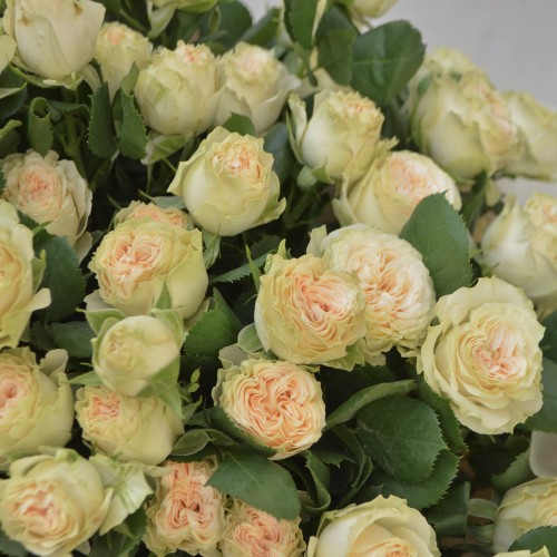 Букет «Саммер Роуз»