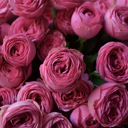 Букет «Идиллия»