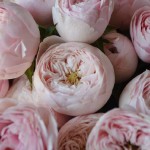 Букет «Шарм»