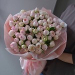 Роскошный букет из 31 пионовидной розы сорта Mansfield Park в нежной упаковке