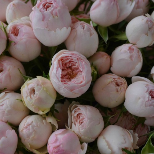 Букет «Адель»