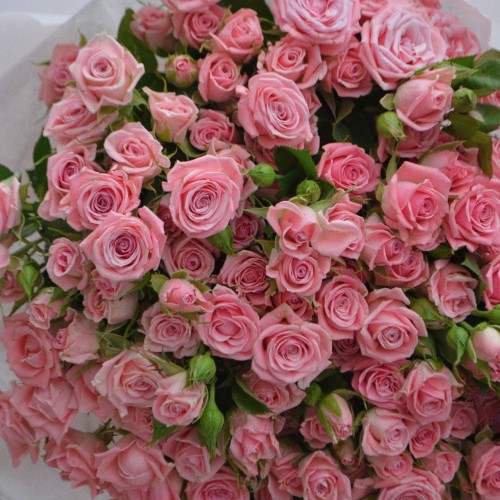 Букет из 31 кустовой розы розовой