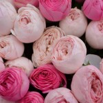 Букет «Элегия»