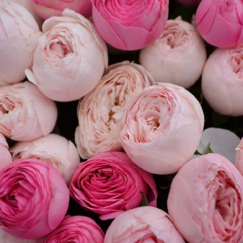 Букет «Элегия»