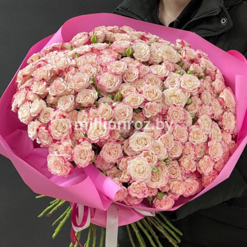 51 кустовая роза Reflex