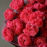 Букет «Распберри»