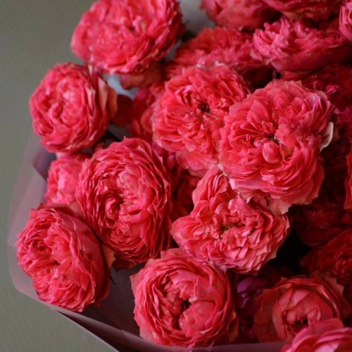 Букет «Распберри»