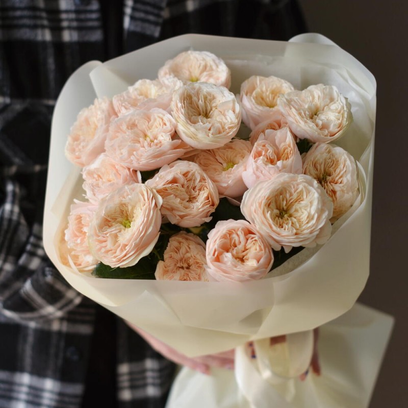 Peony roses Darlington, S