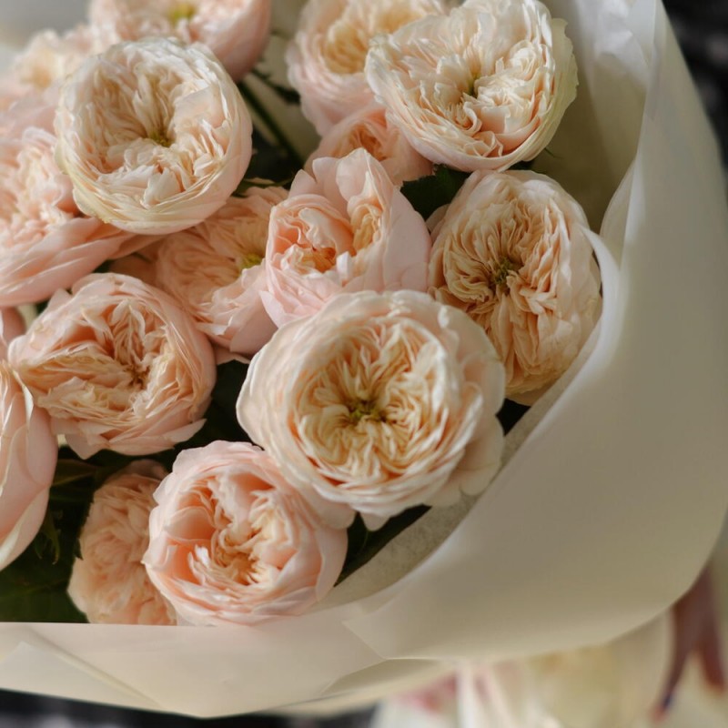 Peony roses Darlington, S