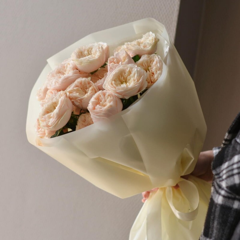 Peony roses Darlington, S