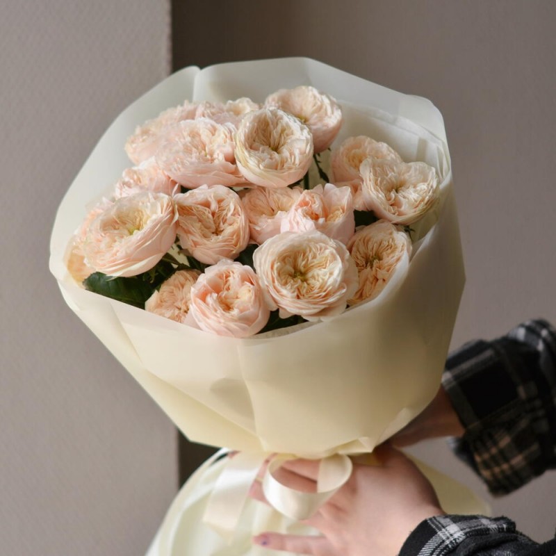 Peony roses Darlington, S
