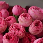 Букет «Купидон»