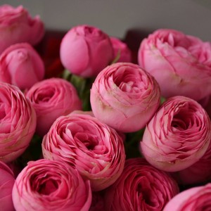 Букет «Купидон»