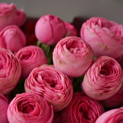 Букет «Купидон»