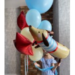 Фольгированная фигура «Таксик в свитере»